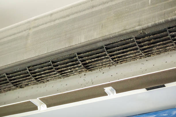 Best Professional Duct Cleaning Services  in Dover Base Housing, DE